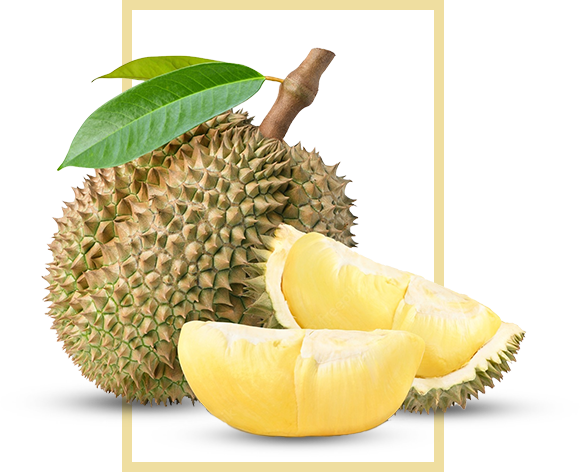 About Durian