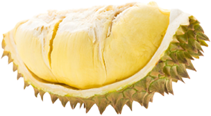 Sầu riêng Musang King