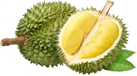 durian365