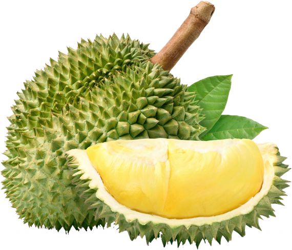 durian365